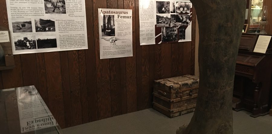 History of Dinosaurs and Their Discovery in Wyoming