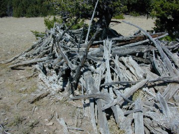 Sheep Trap Adventure Trek