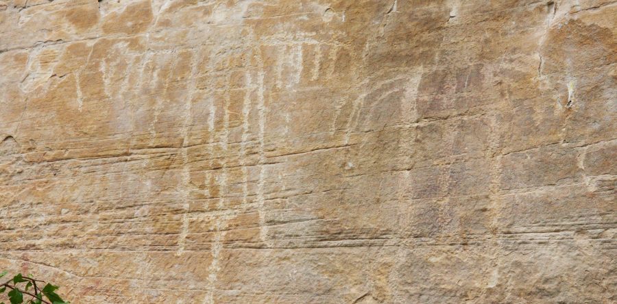 Lander Area Petroglyph Trek
