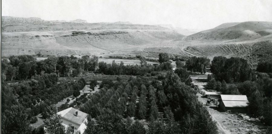 “Historic Ed Young Apple Farm Trek”