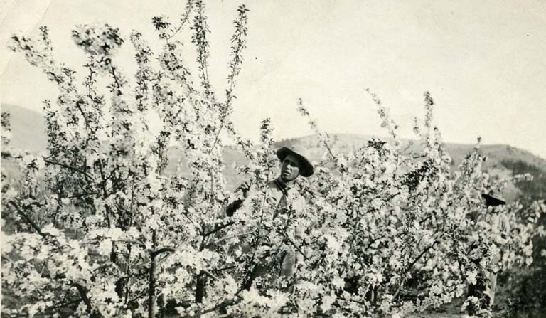 “CWC Apple Orchard Trek”