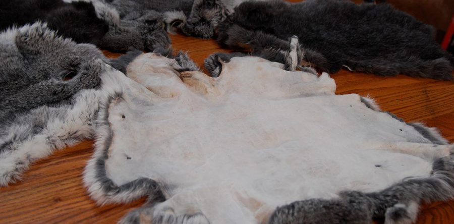 “Rabbit Hide Painting”