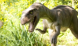 Suspendisse arcu nisl