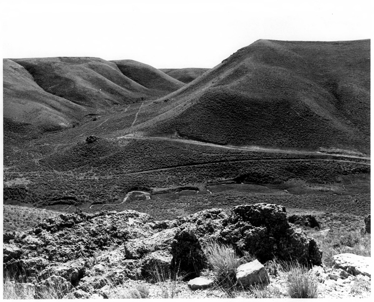 black and white image of a valley with a rock outcropping in the foreground