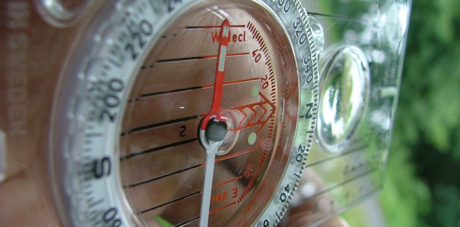 “Treasure Hunt: How to Use a Map and a Compass”