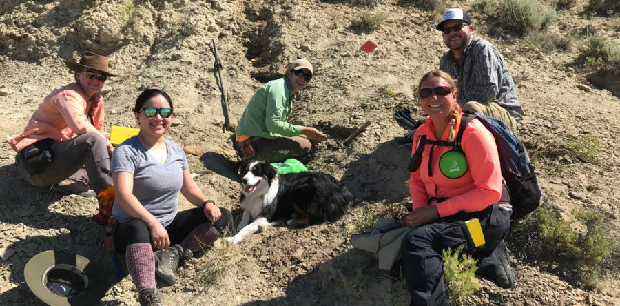 Back to the Future: Studying the climate, vegetation and bone decay from fossils of the Wind River Formation to prepare for future climate conditions