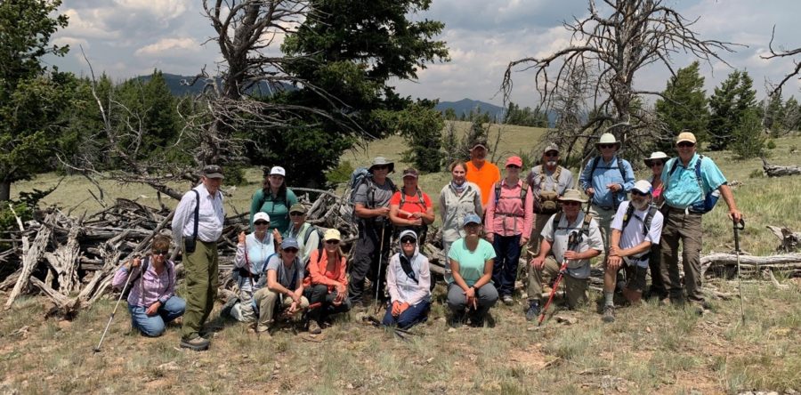 Annual Mystery Sheep Trap Trek