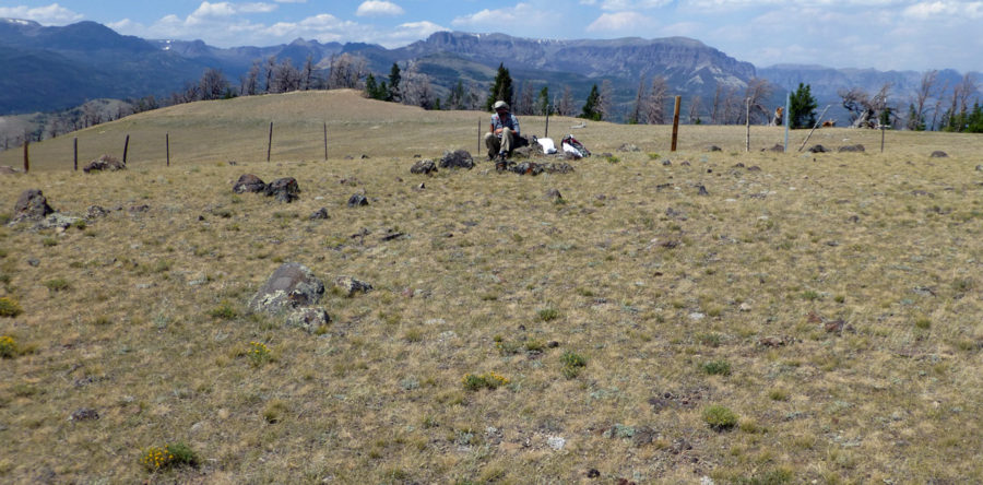 Spring Mountain Geology Trek