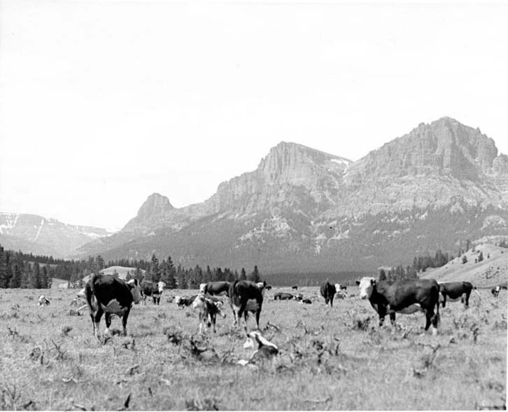 “The Wild Country and Homesteaders of WY”