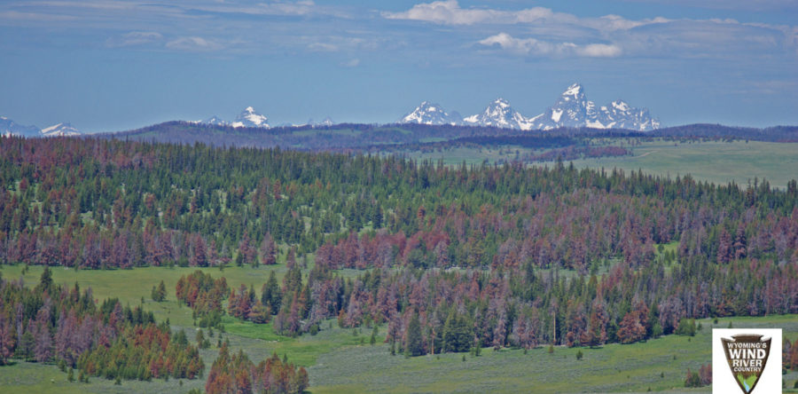 “History of Union Pass”