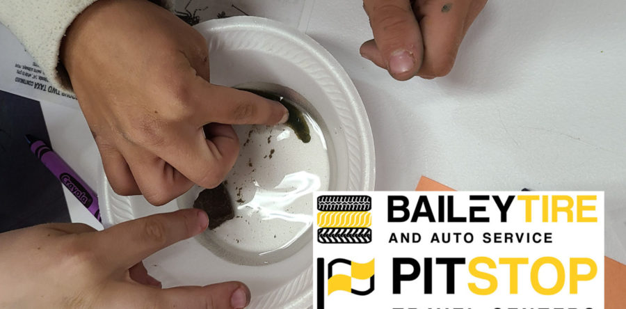 “Kids Corner: Aquatic Insects”